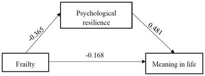 Association between frailty and meaning in life of older adults in nursing home: the mediating effect of psychological resilience